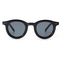 Nouveauté - Modèle 6176 - Lunettes de soleil rétro classiques avec monture PC pour un usage quotidien, lecture, CE