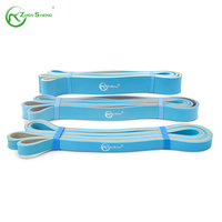 Bandas de Resistencia Elásticas para Ejercicios de Fitness, Bandas de Asistencia para Dominadas, Venta al Por Mayor de Fábrica Zhensheng