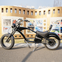 60V 1000W Lityum Pil Disk Frenli Şişman Lastikli Orta Motorlu Ön LED Işıklı Yüksek Sırtlı OEM ODM Elektrikli Chopper Bisiklet (Yetişkinler İçin)