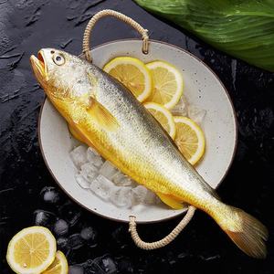 Corvina Amarilla Grande Congelada de Aguas Profundas, Envasada al Vacío, 10 kg, Grado A, Marca Woody, Venta al por Mayor - Product Image 3