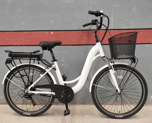 <span class=keywords><strong>Cadre</strong></span> en alliage 26 pouces 21 vitesses vélo électrique 36V 250W batterie au lithium unisexe e bike cargo e bike nexus 7 nexus 3 roller brake - Product Image 3