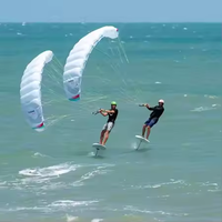 Aile de Foiling Parawing Sport Yufeng 4-5 4,5 Mètres Personnalisée avec Logo, Aile de Vent Arrière Légère pour Foiling, OEM ODM avec Poignée en Fibre de Carbone