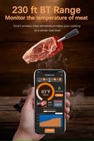ISO9001 BSCI Thermomètres à viande Usine FDA Conception Brevet Certifié Smart APP Répéteur Thermomètre numérique sans fil