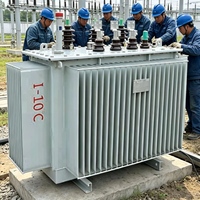 Transformador de Distribución Trifásico Sumergido en Aceite, 50 Hz, 10 KV, S22-M-30 ~ 4000KVA, Conexión Dyn11, Rango de Extracción 2x2.5%
