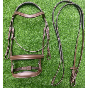 Brida de Cuero de Alta Calidad para Caballo con Riendas, Resistente, Duradera y Cómoda, para Entrenamiento y Exhibición Ecuestre - Product Image 2