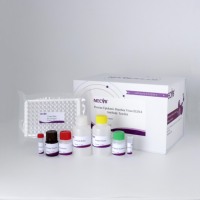 Kit ELISA PEDV pour la détection des anticorps du virus de la diarrhée épidémique porcine (PEDV) chez les porcs
