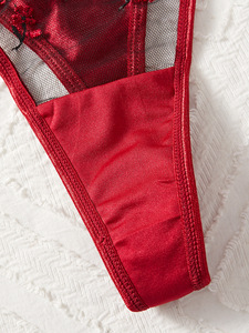 2025 Cross-Border Europäischer & Amerikanischer Stil Dessous-Set: Rotes Samt-Rosen-Stickerei Bügel-Push-Up-BH und Slip-Set für Damen - Product Image 6