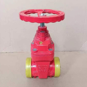 Vanne à opercule à tige montante pour l'isolement et la maintenance des sorties de pompes incendie - Product Image 4