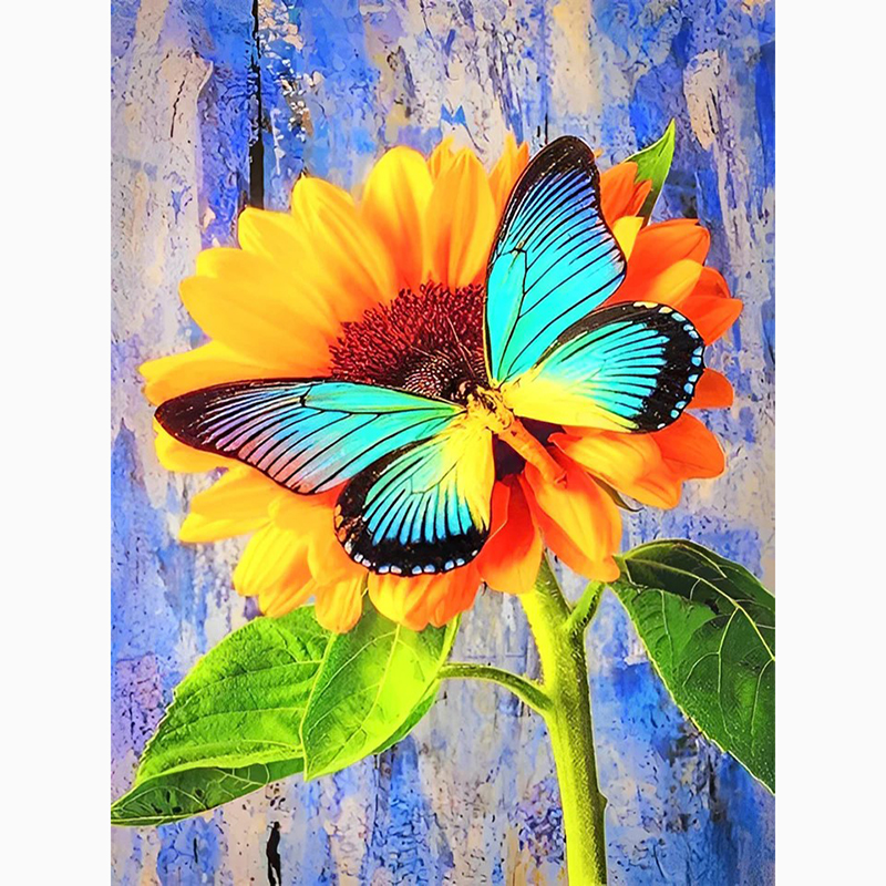 Papillon et Tournesol