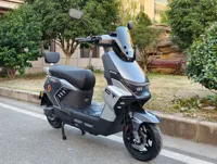 Scooter électrique pour adultes Star Shark II 800W, fourni directement par l'usine, avec batterie 60V/72V 30Ah