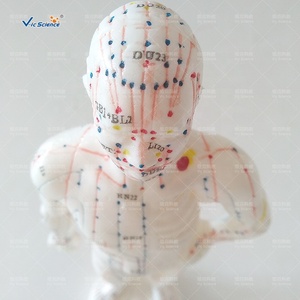 जीवन आकार एक्यूपंक्चर मॉडल सिर एक्यूपंक्चर मॉडल मानव शरीर एक्यूपंक्चर बिंदु - Product Image 4