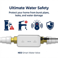 Vanne d'eau intelligente WiFi NEO NAS-WV02W avec commande à distance par téléphone portable, en plastique, pour usage domestique