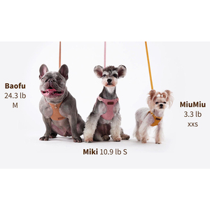 Arnés de cuero ajustable para perro, correa de lujo sin tirones para mascotas pequeñas, a prueba de escape, marca privada, correa de plomo para perro - Product Image 4