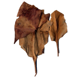 Extracto de Shiwei de Alta Calidad Suministrado por la Fábrica/ Extracto de Folium Pyrrosiae Linguae - Product Image 3