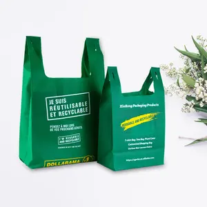 Sacs non tissés écologiques sacs à provisions réutilisables d'épicerie de supermarché au détail sacs fourre-tout personnalisés sac non tissé pour t-shirt
