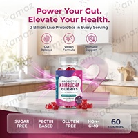 Gummies probiotiques au kombucha pour la santé intestinale, supplément de bien-être digestif, à croquer, végétaliennes, marque privée, fabricant OEM, formule personnalisée