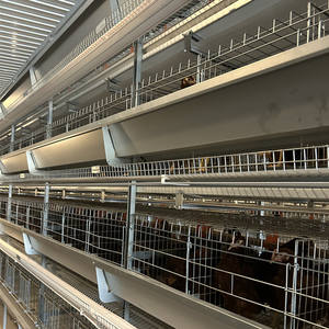 Offre Spéciale <span class=keywords><strong>poulailler</strong></span> en acier de type H ferme avicole utilisée condition pour les <span class=keywords><strong>poules</strong></span> pondeuses en batterie de couche avec système de collecte automatique - Product Image 6