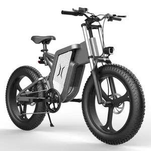 Outdoor Front and Rear Shock Absorption Off-road Fat Tire Electric Bicycle 4.0 Assisted 20 Inch Electric Bike Lithium Battery