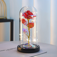 Cadeau créatif Rose éternelle en feuille d'or artificielle avec lumières dans un boîtier en plastique pour elle Décoration d'intérieur Ornement
