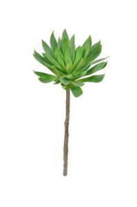 Plantas Suculentas Realistas, Plantas Suculentas Artificiales Realistas de Tallo Único para Decoración de Interiores, Hogar y Jardín, Graduación - Product Image 5