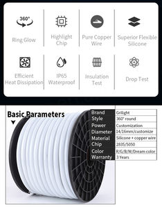 Rubans LED néon flexibles en PVC silicone étanches IP65 personnalisés, à changement de couleur RGB - Product Image 6