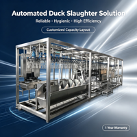 Ligne de traitement automatique pour l'abattage de poulets, canards et oies, équipement clé en main pour abattoir de volailles destiné aux usines de transformation de viande