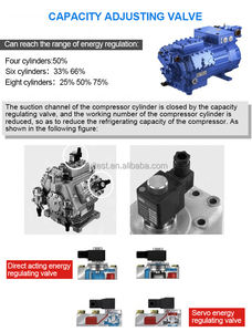 تصنيع سعة كبيرة للنزهات البيئية في غرفة المناخ مع غرفة اختبار درجة حرارة التحكم في الرطوبة - Product Image 5