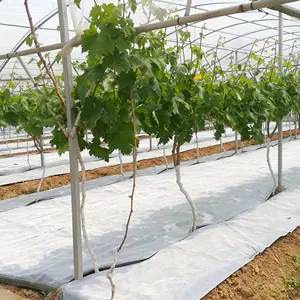 4ft × 100ft Nursery-Garten-Unkrautmatte Landschaftsstoff landwirtschaftlicher Unkrautblock-Matte UV-stabilisierter Unkrautbekämpfungs-Stoff