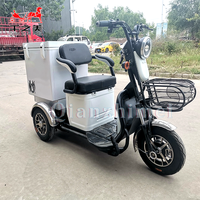 Tricycle à moteur pour crème glacée à bas prix avec boîte réfrigérée et mini-réfrigérateur-congélateur