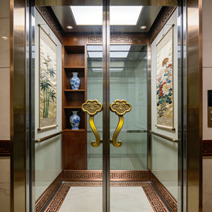 Компактный современный домашний лифт для квартиры с ПВХ-покрытием пола, для небольших домов, на 2-7 человек - Product Image 3