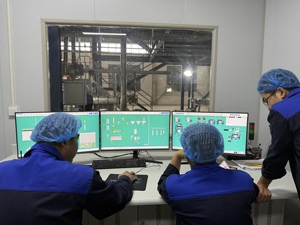 Toptan toplu kedi sağlıklı somon gevrek bisküvi davranır kediler için köpek bakımı mide için tedavi - Product Image 5