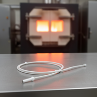 Capteur de température industriel à action rapide, résistant aux hautes températures, norme DIN, économique, four à ondes lumineuses, thermocouple PT RTD