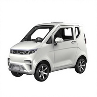 Scooter de mobilité fermé à 4 roues Mini voiture électrique à basse vitesse sans permis de conduire pour les personnes âgées