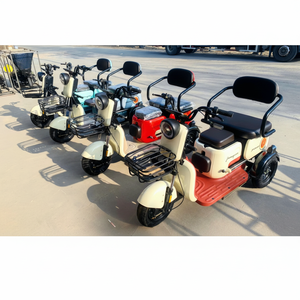 Tricycle électrique à une vitesse 600W pour adultes avec cadre en acier à haute teneur en carbone 48V - Product Image 1