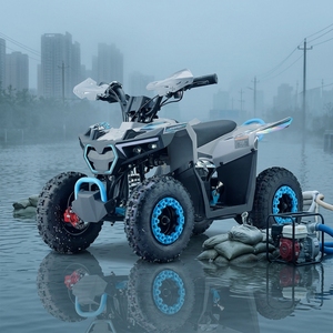 <span class=keywords><strong>Quad</strong></span> 2026 HighPer New <span class=keywords><strong>800W</strong></span> <span class=keywords><strong>36V</strong></span> ATV automatique avec moteur sans balais pour enfants, certifié CE - Product Image 1