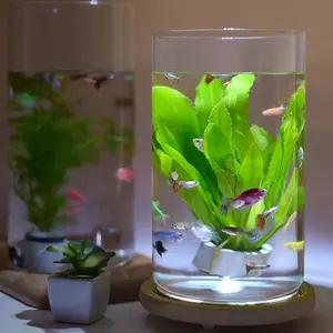 Recipiente per pesci in vetro trasparente vaso contenitore Micro paesaggio contenitore contenitore vaso ecologico vaso per fiori acquario