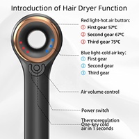 Sèche-cheveux ionique électrique intelligent portable sans pales BLDC à ions négatifs, mini, haute vitesse, pour usage domestique, en une seule étape