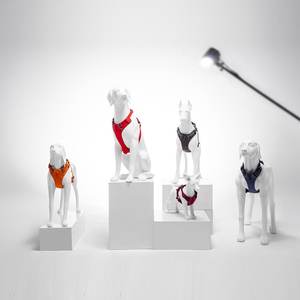 Nouveau <span class=keywords><strong>Mannequin</strong></span> de Poitrine et de Dos pour Chien en Fibre de Verre Détachable, Modèle G9 Entièrement Fait Main pour Vêtements pour Animaux et Présentations en Direct Dugao Dog Show - Product Image 1