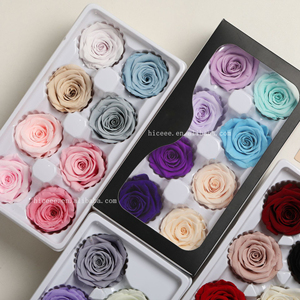 Teste di Rosa Essiccate Eterne 4-6cm Fiore Naturale per San Valentino Fai-da-Te Ecologico Lunga Durata 3-5 Anni Fiore Preservato - Product Image 2
