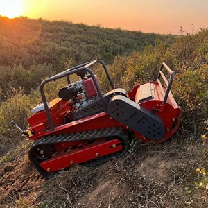 SK-G800 800mm Single Cylinder Remote Control Flail Mower Engine Heavy Duty Tracked Lawn <b>Cutter</b> 1000mm for Farm - Product Image 1
