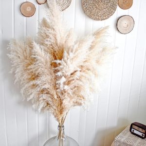 Herbe de la Pampa Naturelle Décorative – Série Très Demandée – Fleurs Séchées en Sac Plastique – Décoration du Nouvel An Chinois et de Pâques - Product Image 4