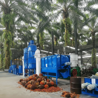 Nieuwe WETO volautomatische turnkey installatie voor de verwerking van rode palmvruchten, constructie van roestvrij staal, 1-100 ton/dag palmolie.