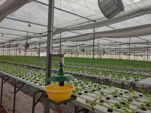 Singolo strato quadrato PVC tubo idroponico Soilless coltivazione vegetale serbatoio di impianto con copertura in vetro <span class=keywords><strong>per</strong></span> balcone giardino urbano - Product Image 4