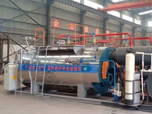 غلايات بخار تعمل بالغاز منخفضة النيتروجين من سلسلة WNS - Product Image 2