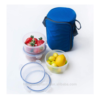 Sac isotherme moderne en plastique pour extérieur, boîte à lunch, conteneur alimentaire hermétique, étanche, réutilisable, avec blocs de glace, peu encombrant et empilable