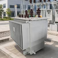 Solución EPC Profesional S11, Transformador de Potencia Sumergido en Aceite con Bobinado de Cobre, 11kv, 33kv, 1000kva, 1600kva, 3 MVA, 10 MVA