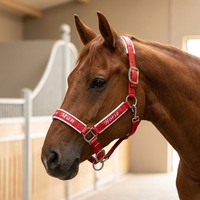 Harnais de cheval en cuir synthétique microfibre durable, réglable et rembourré, équipement d'équitation pour l'entraînement et la conduite des chevaux