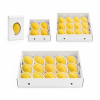 Witte mango verpakkingsdoos met ventilatiegaten, papieren vulling, aangepast logo, fruitverzenddoos voor mango-exporteurs, groothandel