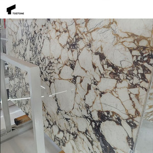 Tostone phổ biến tự nhiên đánh bóng đá slab calacatta Viola đá cẩm thạch cho Countertop tường sàn phòng ngủ nhà bếp thiết kế nội thất - Product Image 5