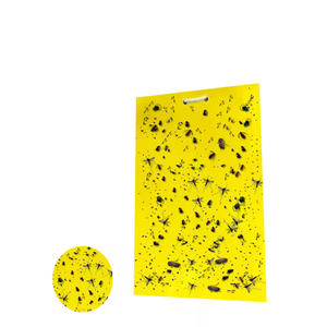 10*20CM beidseitige gelbe klebrige Mücken fallen Innen-und Außen wasserdichte Mücken Klebrige Papier falle Sprüh klebe bretter - Product Image 2